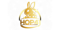 HOP41 เว็บพนันที่เชื่อถือได้ เดิมพันไม่มีสะดุด การันตีความมั่นคง